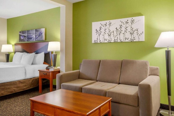 Sleep Inn & Suites Airport image 15